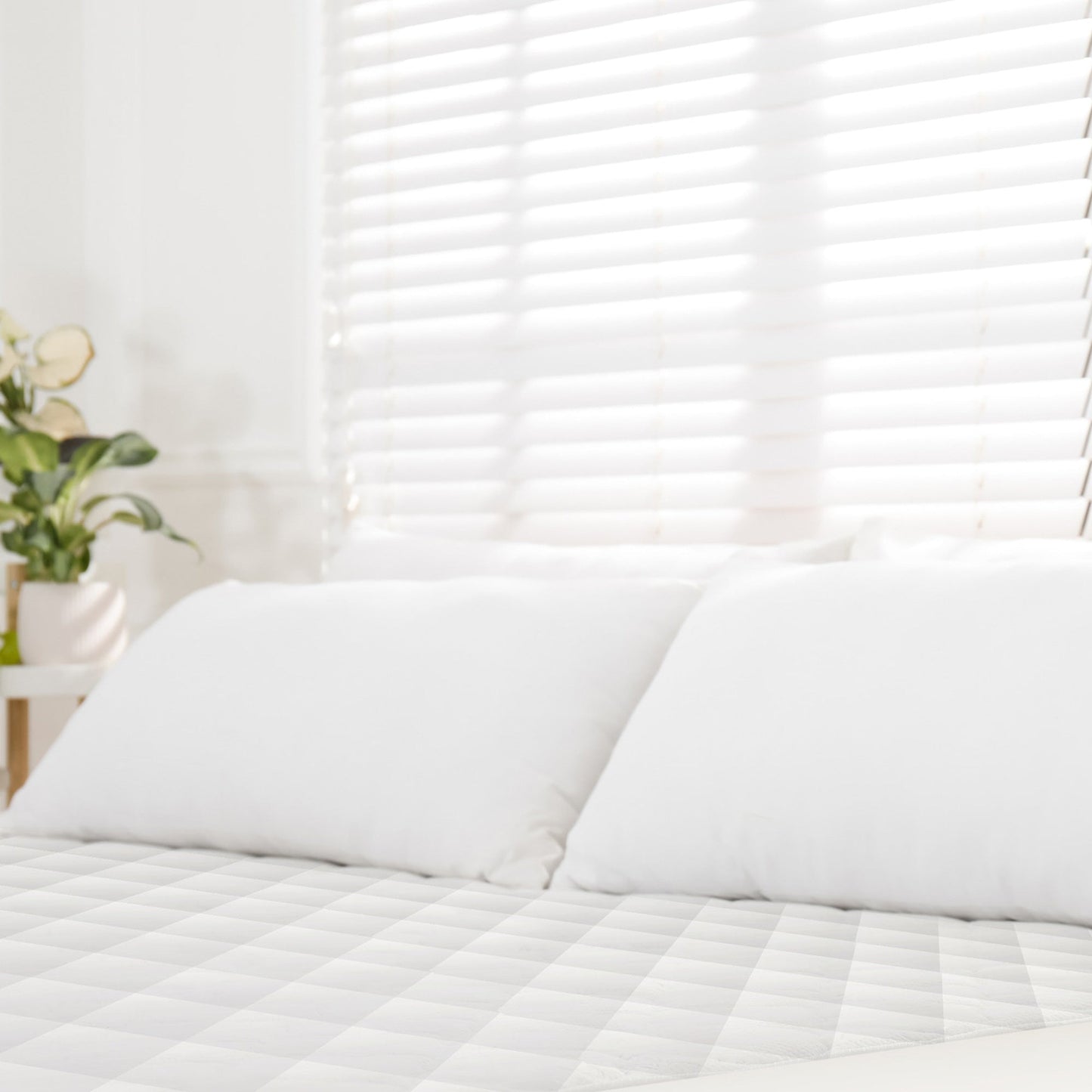 Luxury Organic Cotton Quilted Mattress Protector